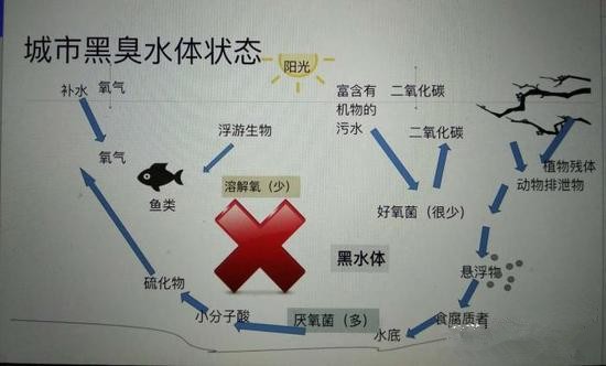 江蘇億元投資治污新技術 石墨烯能否治理黑臭水體？