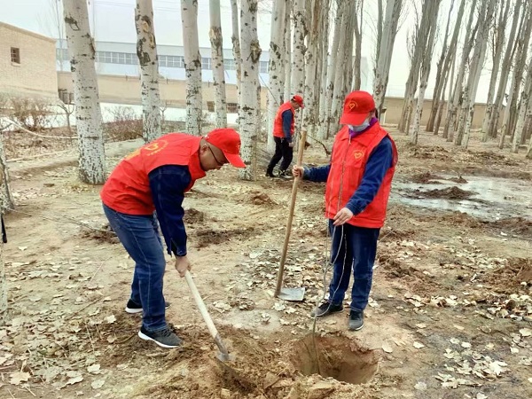 新疆兵團(tuán)一師電力玉爾滾供電所開展植樹活動