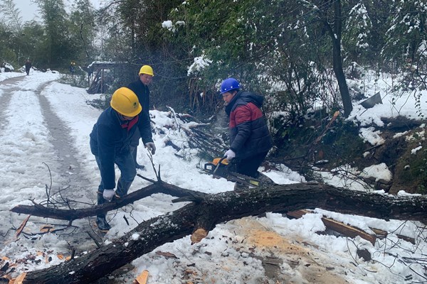 國網東安縣供電公司：全力搶險克風雪 持續(xù)奮戰(zhàn)保供電