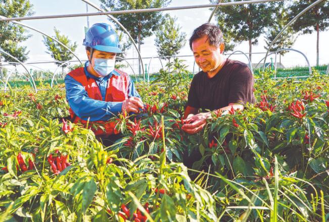 濟南彩虹共產黨員服務隊：精心周到服務 守護“溫泉花都”