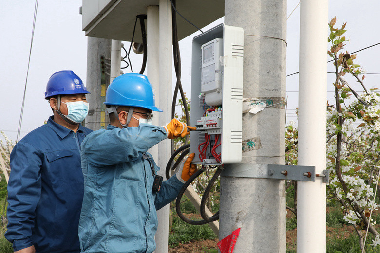 國網(wǎng)諸城市供電公司電力足，千畝梨園花正濃