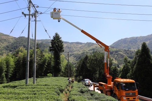 國網(wǎng)壽寧縣供電公司：高溫帶電作業(yè) 保障居民用電