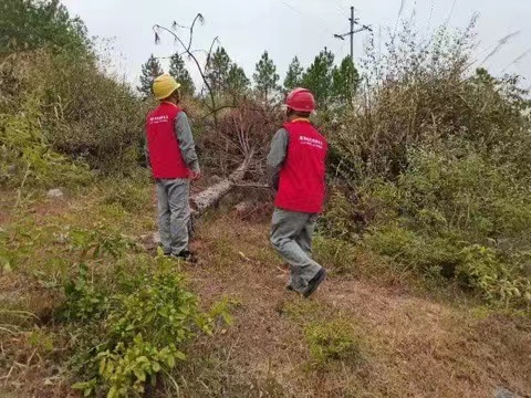 國(guó)網(wǎng)道縣供電公司國(guó)慶保電不打烊 特巡線路防山火