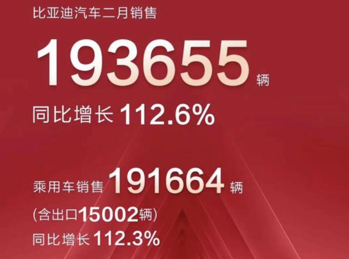 2月新能源車企成績(jī)單出爐，比亞迪一騎絕塵