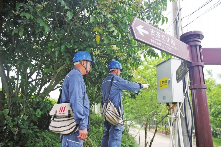 廣西南寧供電局：春茶生產(chǎn)“電力足”