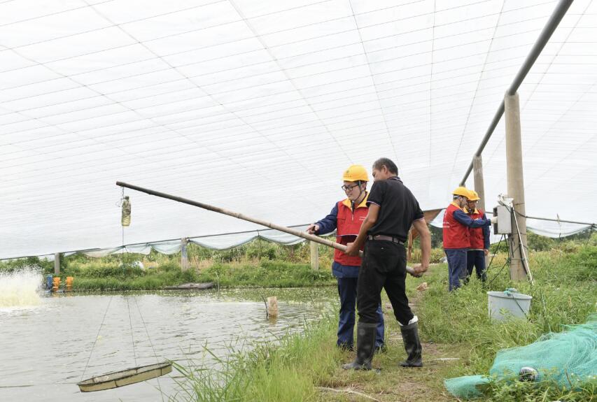 國網(wǎng)余姚市供電公司：優(yōu)質服務電滿格 水產養(yǎng)殖信心足